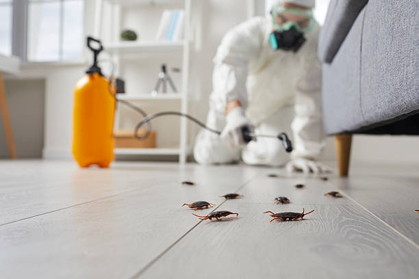 Commercial Kitchen Cockroach Control in Daleville